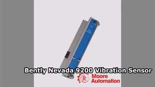 Bently Nevada 9200 09 01 06 Overzicht snelheidstransducer